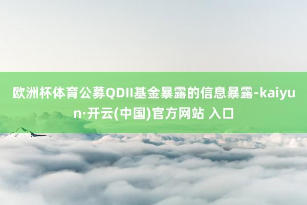 欧洲杯体育公募QDII基金暴露的信息暴露-kaiyun·开云(中国)官方网站 入口