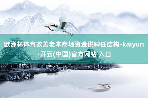 欧洲杯体育改善老本商场资金供聘任结构-kaiyun·开云(中国)官方网站 入口
